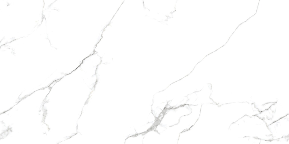 Керамогранит 7930138702374 Eurotile Capitol Matt 60x120