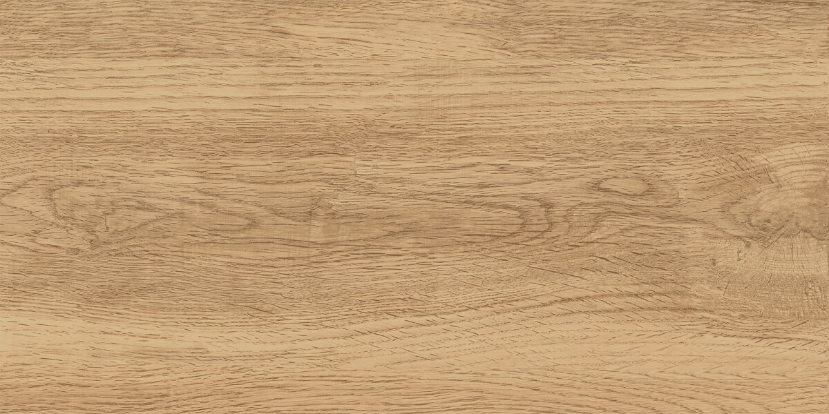 GT220VG Керамогранит Florida_GT Беж. 30x60 158,32