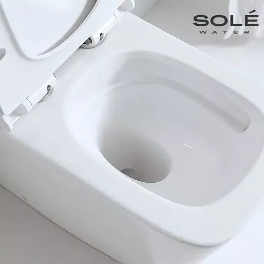 Sole Rif Turbo унитаз-компакт с крышкой Soft-close Безободковый УТ000105741