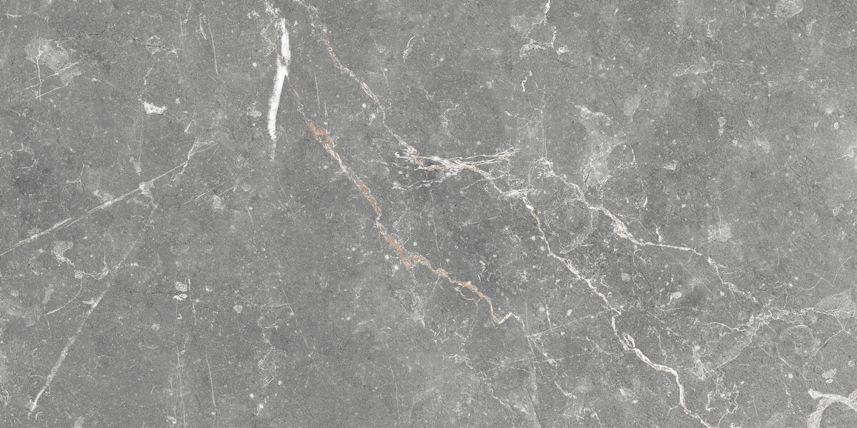 GT99VG Плитка облиц. Capella GT Сер. 50*25 _ 1 74,25