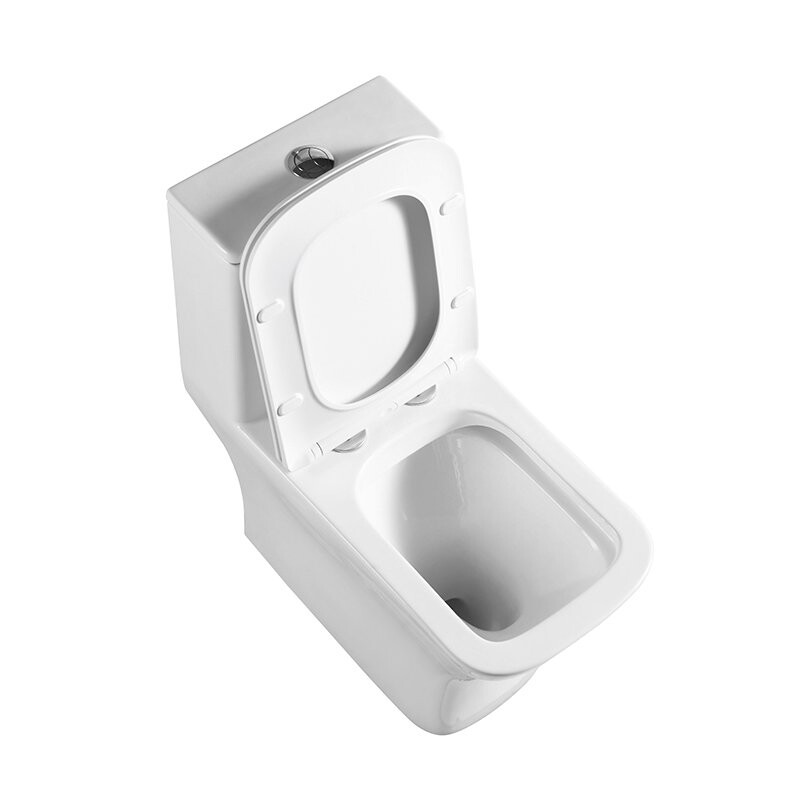 Унитаз-моноблок безободковый с сиденьем BelBagno NEON BB8617CPR-MN/SC