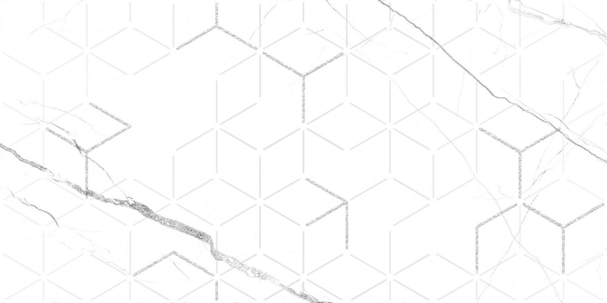 GT124VG Декор кер. Siluet GT Бел. 50*25 _ 1 7
