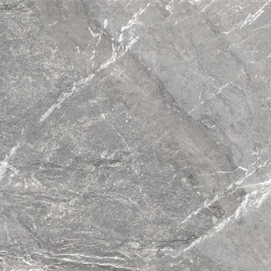 Delacora Wild Dark Керамогранит 600 x 600 x 9.5 D60260M