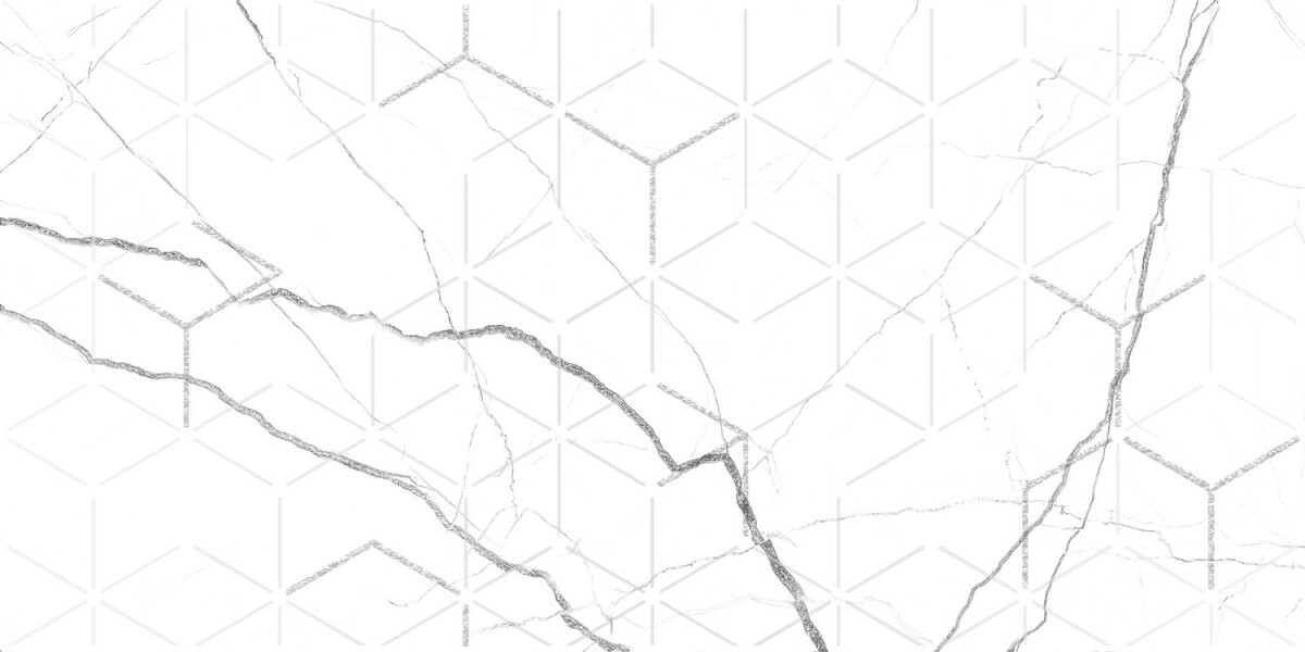 GT124VG Декор кер. Siluet GT Бел. 50*25 _ 1 7