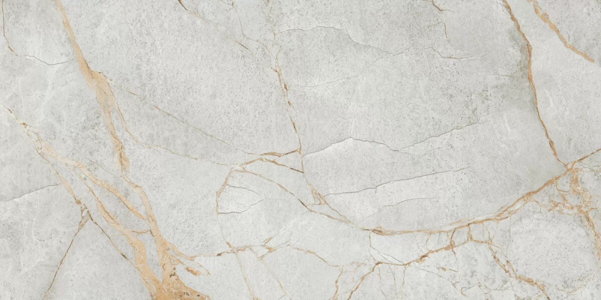 Керамогранит 60120PEC15P LCM Special Marmo Gray Полированный 600 x 1200 x 7 мм.