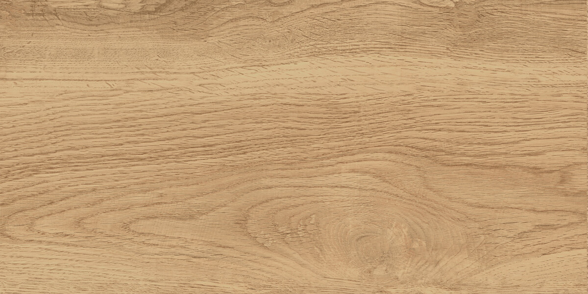 GT220VG Керамогранит Florida_GT Беж. 30x60 158,32