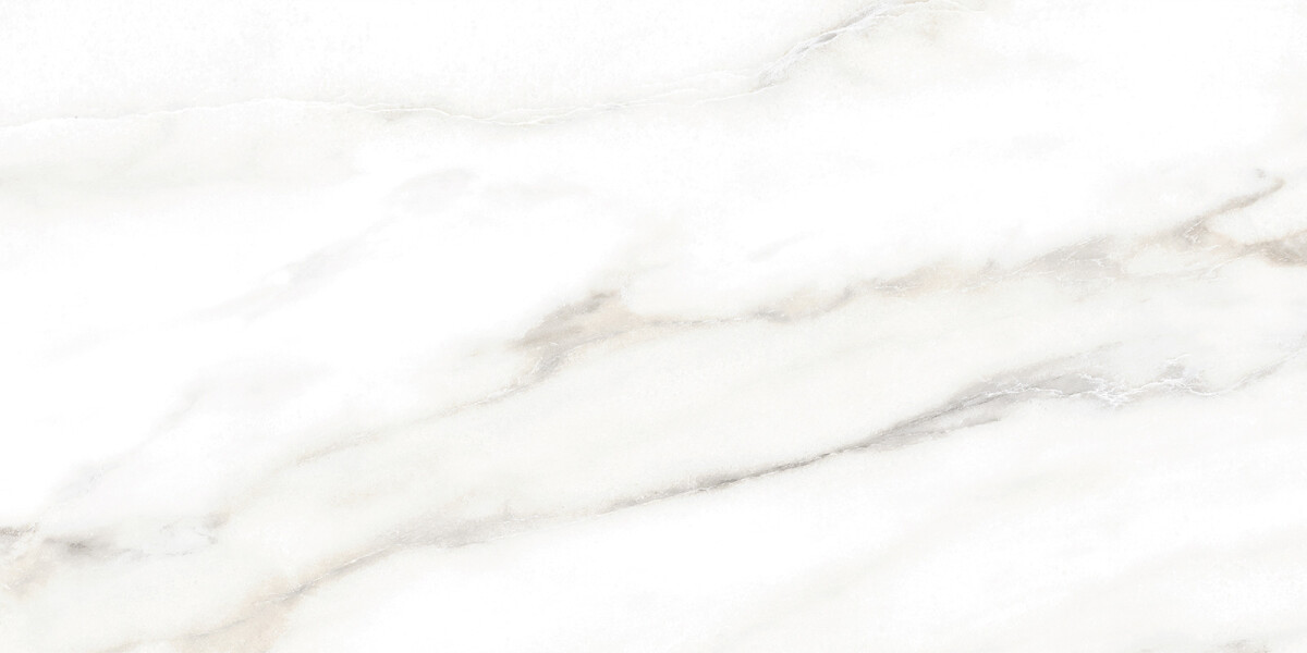 Alma Ceramica Euphoria Керамическая плитка настенная 249 x 500 x 7 TWU2550EPH04