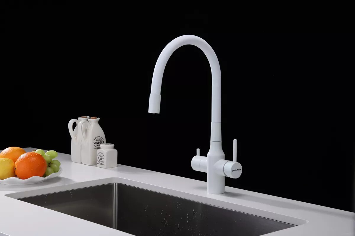 Смеситель для кухни под фильтр с гибким изливом Salix Sa213419-431
