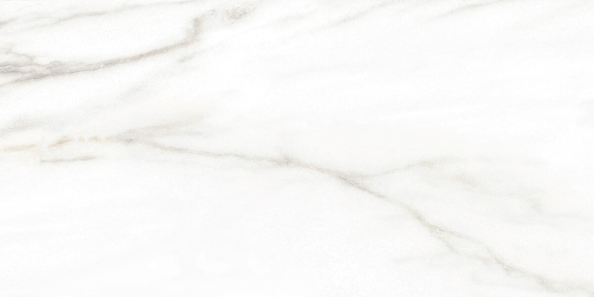 Alma Ceramica Euphoria Керамическая плитка настенная 249 x 500 x 7 TWU2550EPH04