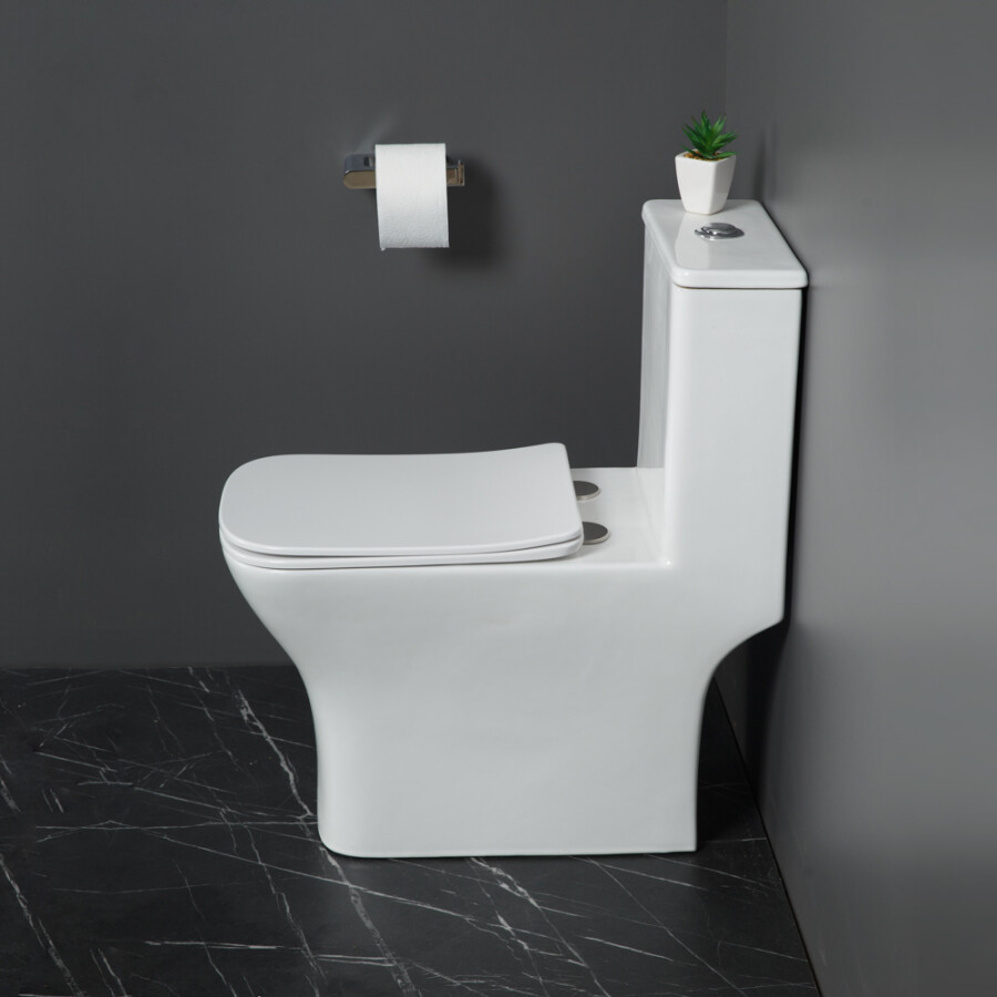 Унитаз-моноблок безободковый с сиденьем BelBagno NEON BB8617CPR-MN/SC