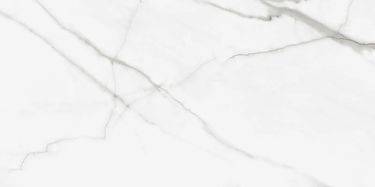 Керамогранит Artkera Group GP60120PUR00M Pure Marble матовый 600 x 1200 x 10 мм.
