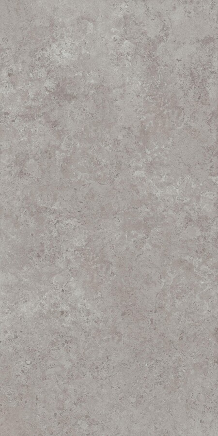 Kerama Marazzi DD590600R Про Лаймстоун АТ серый натуральный обрезной 119,5х238,5 керамогранит