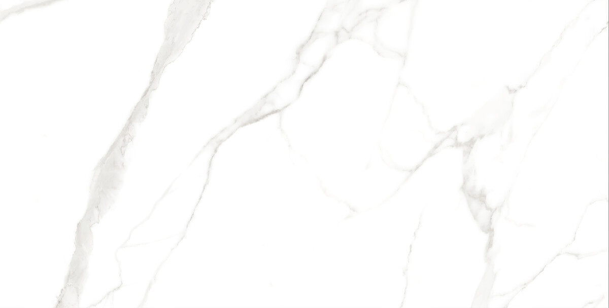 Керамогранит 7930138702428 Eurotile Kinder White Glossy 60x120