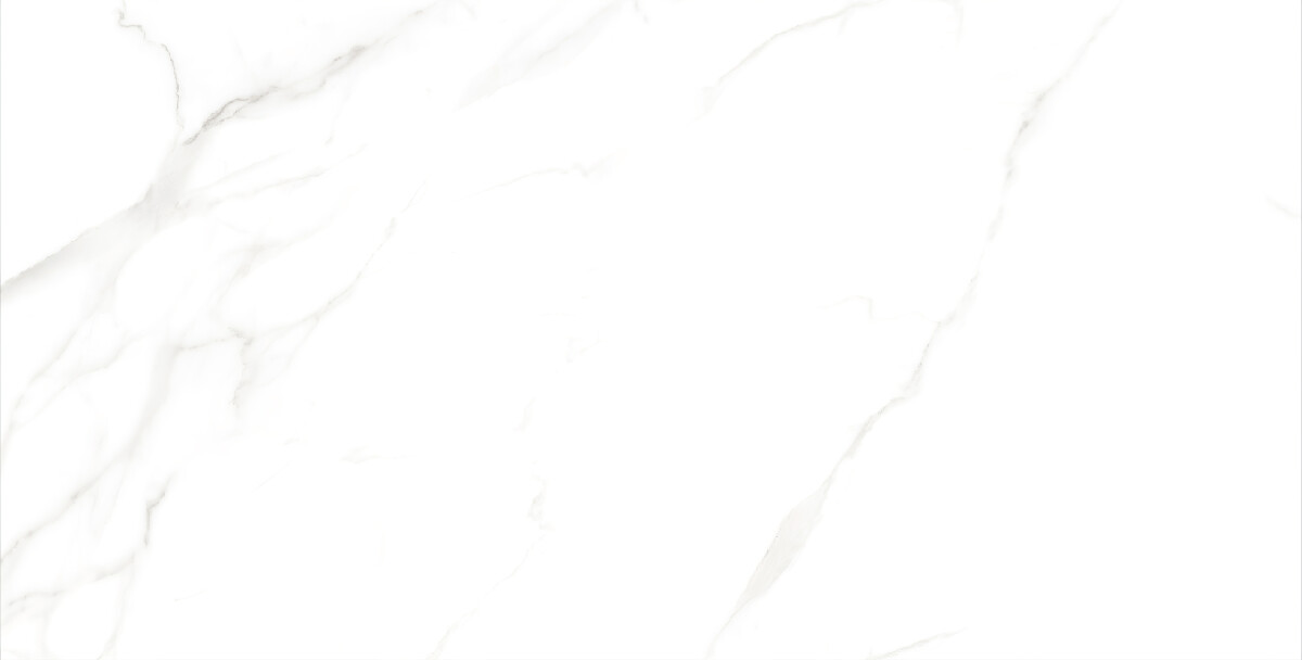 Керамогранит 7930138702428 Eurotile Kinder White Glossy 60x120