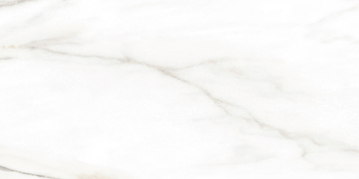 Alma Ceramica Euphoria Керамическая плитка настенная 249 x 500 x 7 TWU2550EPH04