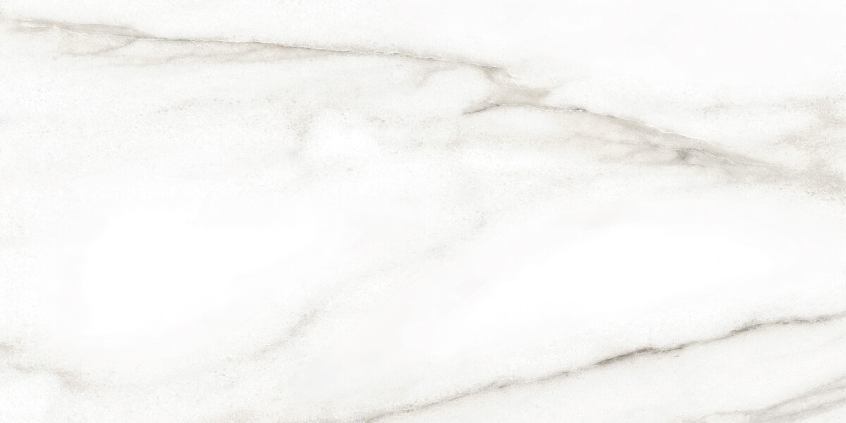 Alma Ceramica Euphoria Керамическая плитка настенная 249 x 500 x 7 TWU2550EPH04