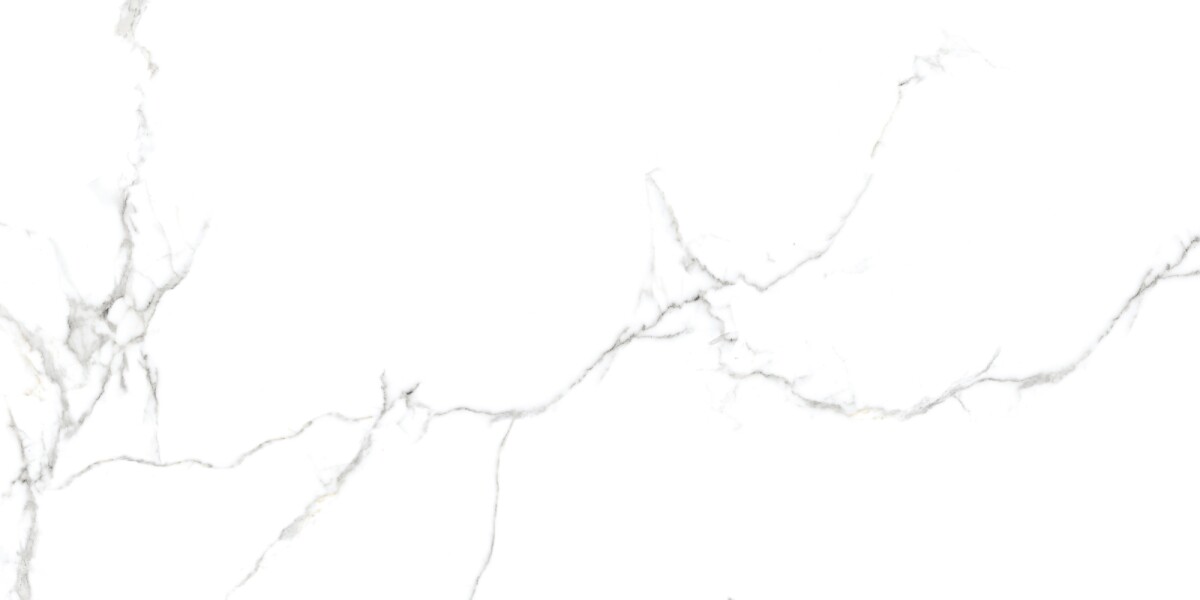 Керамогранит 7930138702374 Eurotile Capitol Matt 60x120