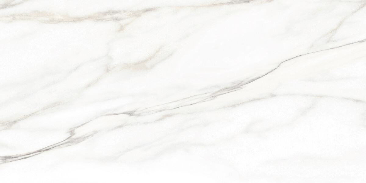 Alma Ceramica Euphoria Керамическая плитка настенная 249 x 500 x 7 TWU2550EPH04