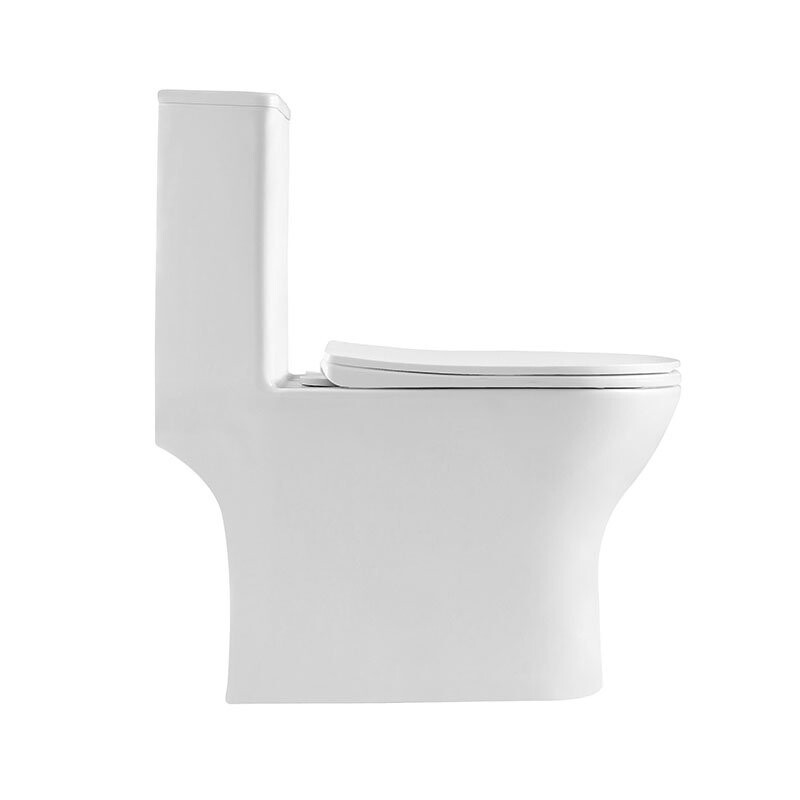 Унитаз моноблок безободковый с сиденьем BelBagno LOUNGE BB8618CPR-MN/SC
