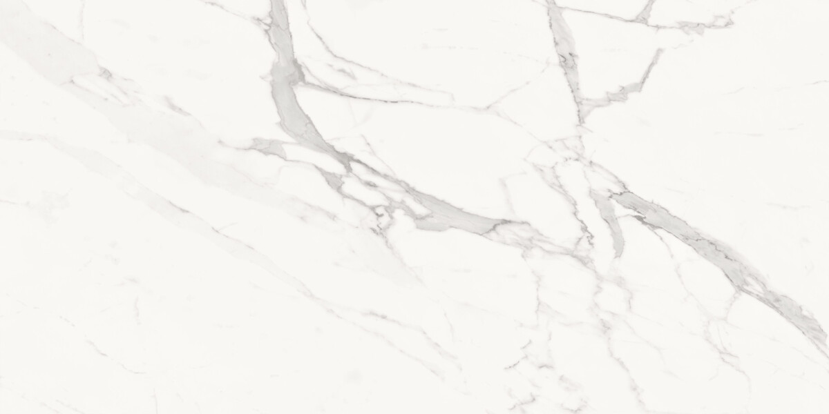 Delacora Porfido Carrara Керамогранит 600 x 1200 x 9.5 60120PFC15M