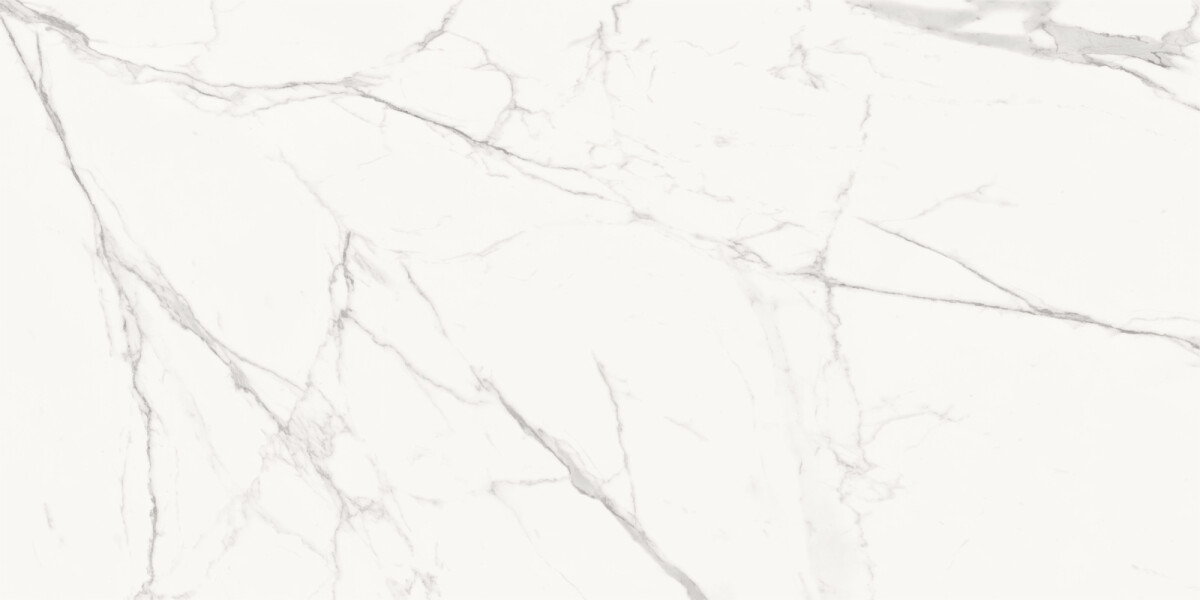 Delacora Porfido Carrara Керамогранит 600 x 1200 x 9.5 60120PFC15M