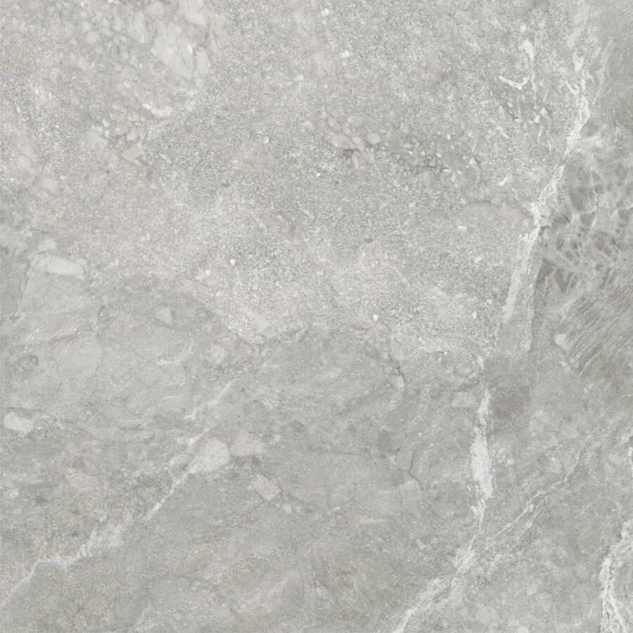 Delacora Wild Light Керамогранит 600 x 600 x 9.5 D60259M