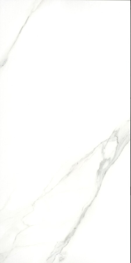 Керамогранит Eurotile Amina Calacatta 717 ANI1WT 60x120