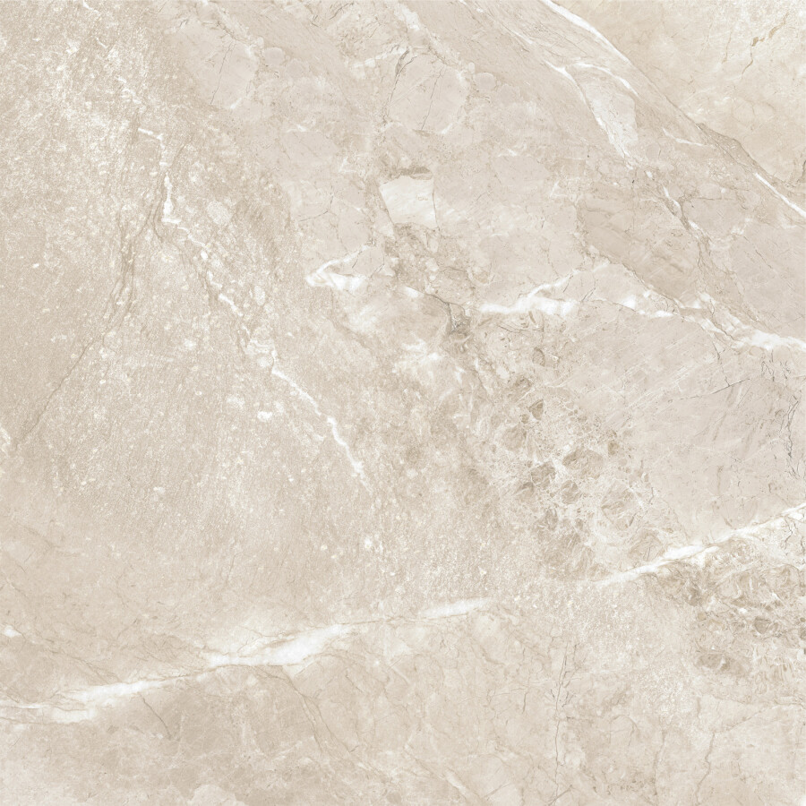 Delacora Wild Gold Керамогранит 600 x 600 x 9.5 D60262M