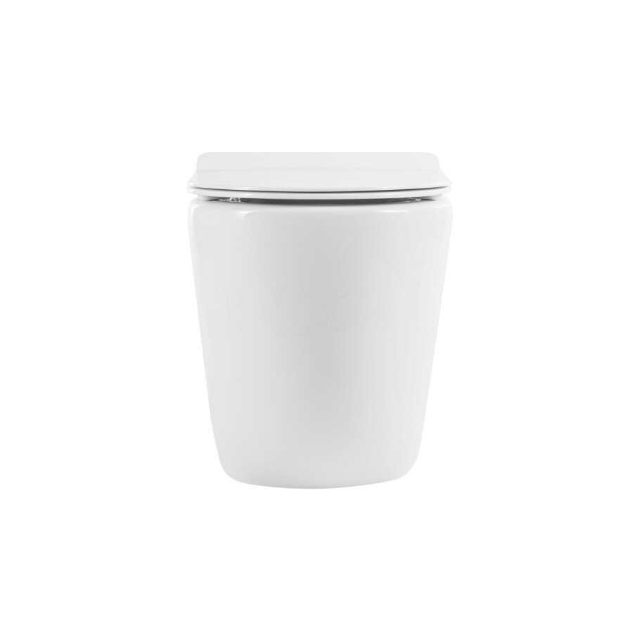 Унитаз приставной напольный BelBagno Sfera-r BB2141CBR/SC