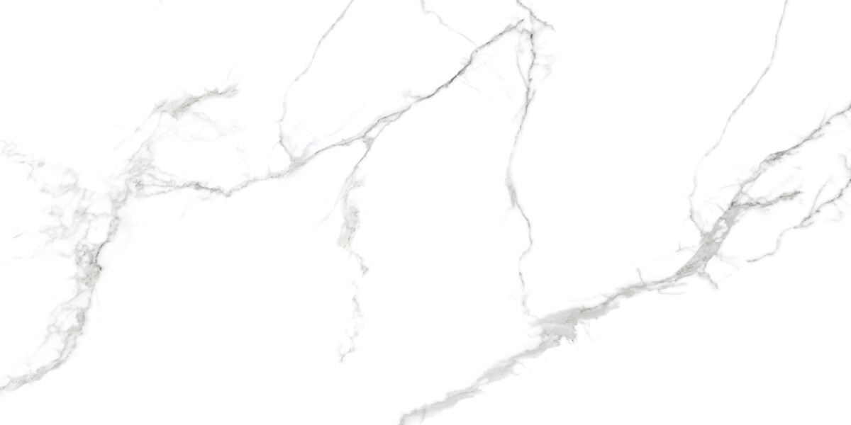 Керамогранит 7930138702374 Eurotile Capitol Matt 60x120
