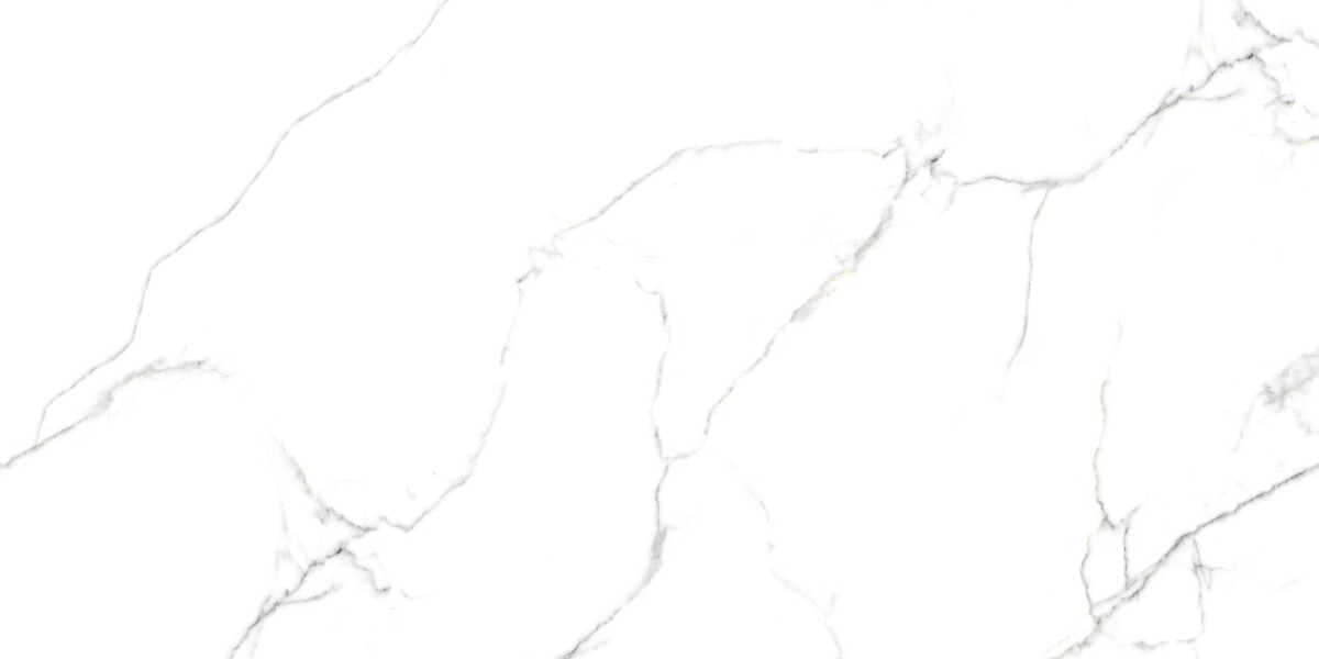 Керамогранит 7930138702374 Eurotile Capitol Matt 60x120