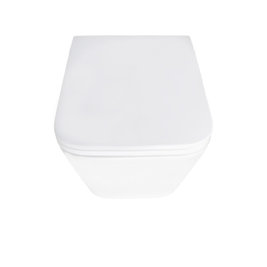 Унитаз подвесной Azario Pace 360х520х365 безободковый, система смыва "Скрытое Торнадо", с быстросъемным сиденьем "Микролифт" AZ-5172T-WHT