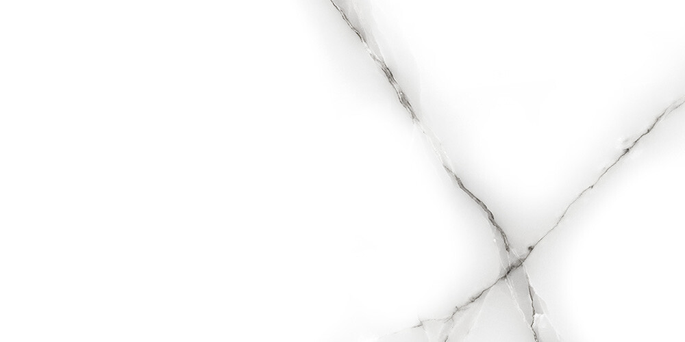 GT138VG Плитка облиц. Tonic GT Сер. 50*25 _ 1 74,25