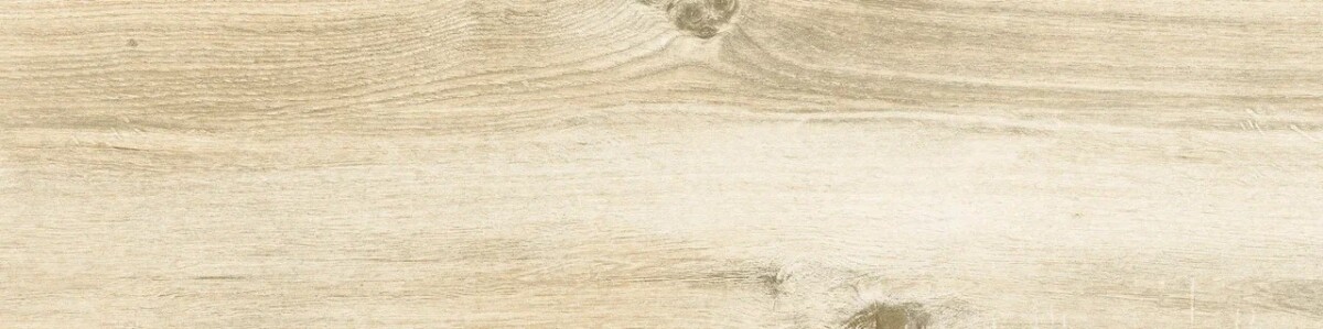 Керамогранит 15 BN 0006 Eurotile Bianko 15x60