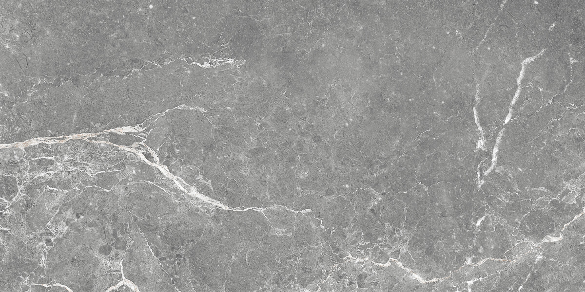 GT99VG Плитка облиц. Capella GT Сер. 50*25 _ 1 74,25