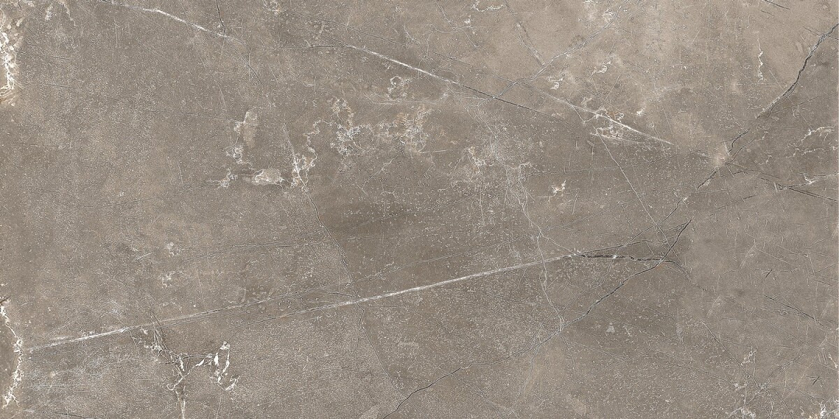 GT122VG Плитка облиц. Siluet GT Кор. 50*25 _ 1 74,25
