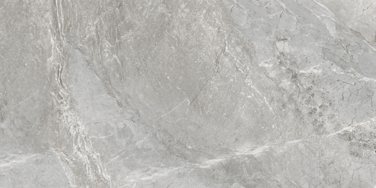 Delacora Wild Light Керамогранит 600 x 1200 x 9.5 D120259M