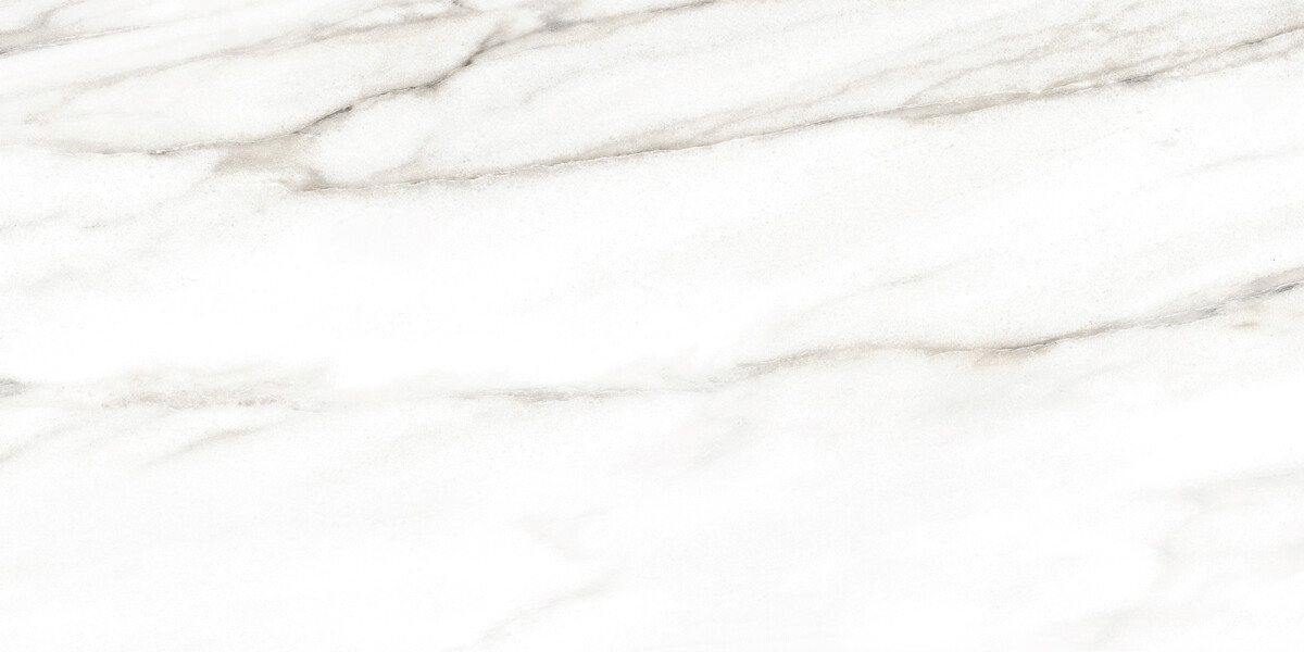 Alma Ceramica Euphoria Керамическая плитка настенная 249 x 500 x 7 TWU2550EPH04