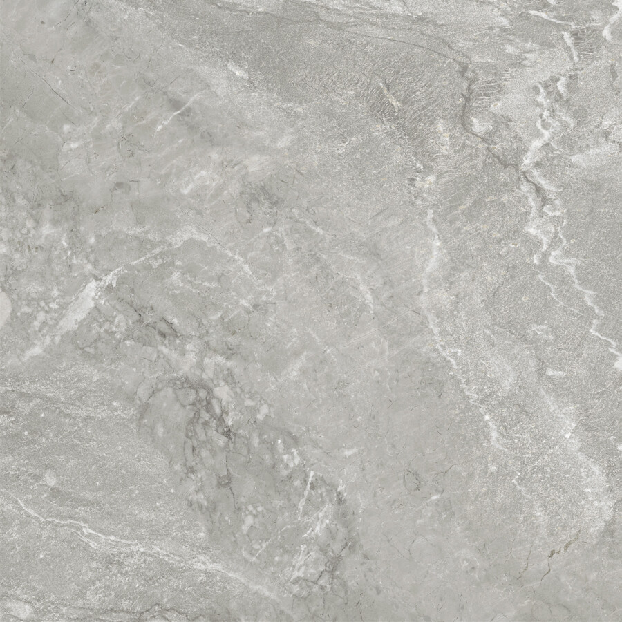 Delacora Wild Light Керамогранит 600 x 600 x 9.5 D60259M