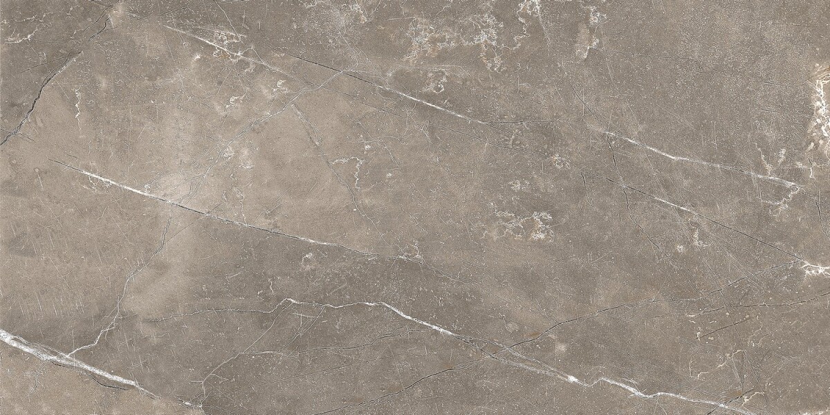 GT122VG Плитка облиц. Siluet GT Кор. 50*25 _ 1 74,25