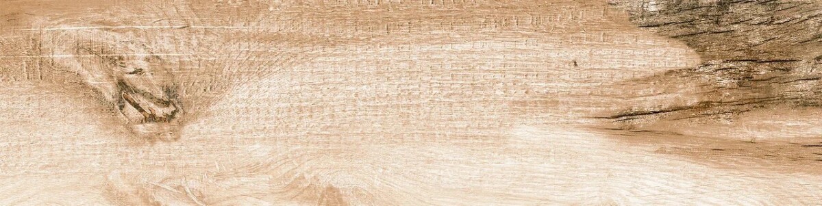 Керамогранит 15 PH 0054 Eurotile Phoenix 15x60