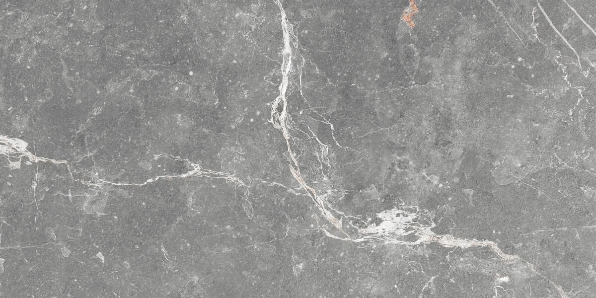 GT99VG Плитка облиц. Capella GT Сер. 50*25 _ 1 74,25
