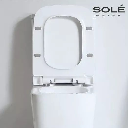 Sole Rif Turbo унитаз-компакт с крышкой Soft-close Безободковый УТ000105741