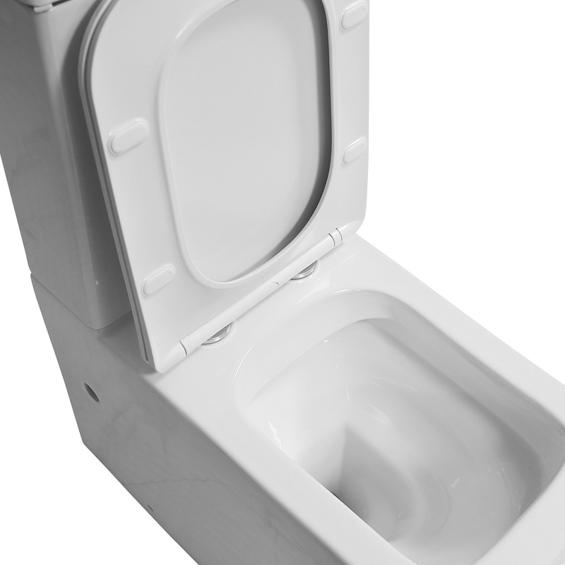 Azario Indor унитаз напольный безободковый с сиденьем микролифт AZ-T004B-R