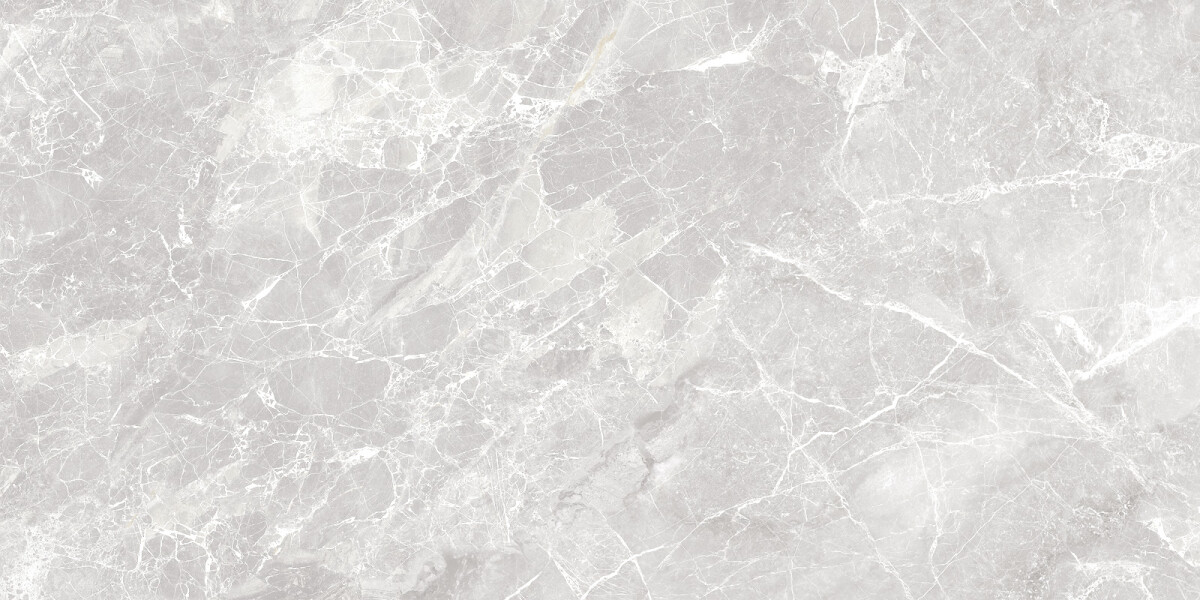 Delacora Greiny Gris Керамогранит 600 x 1200 x 9.5 60120GRY15M