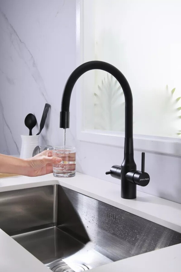 Смеситель для кухни под фильтр с гибким изливом Salix Sa213419-418