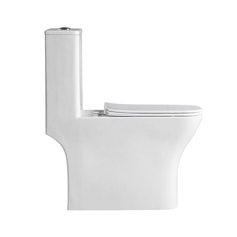 Унитаз-моноблок безободковый с сиденьем BelBagno NEON BB8617CPR-MN/SC