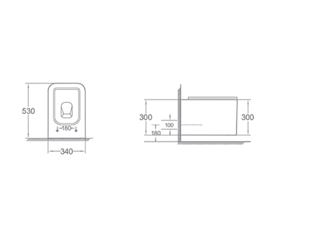 Унитаз подвесной Boheme Mane Черный матовый c крышкой 970-SET-B