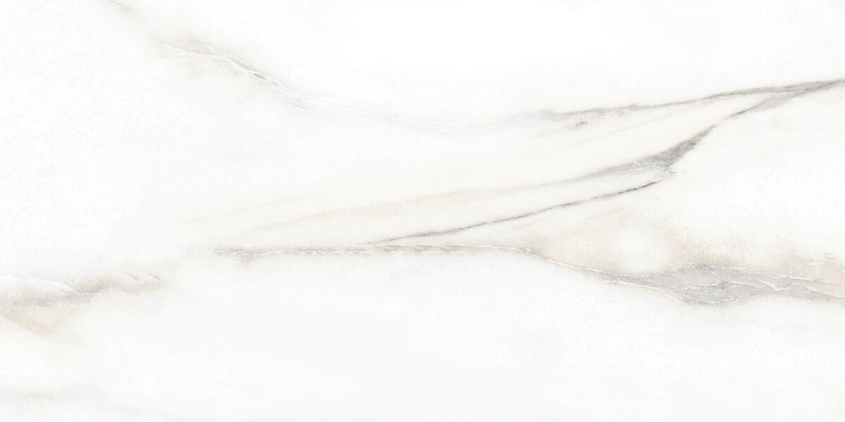 Alma Ceramica Euphoria Керамическая плитка настенная 249 x 500 x 7 TWU2550EPH04