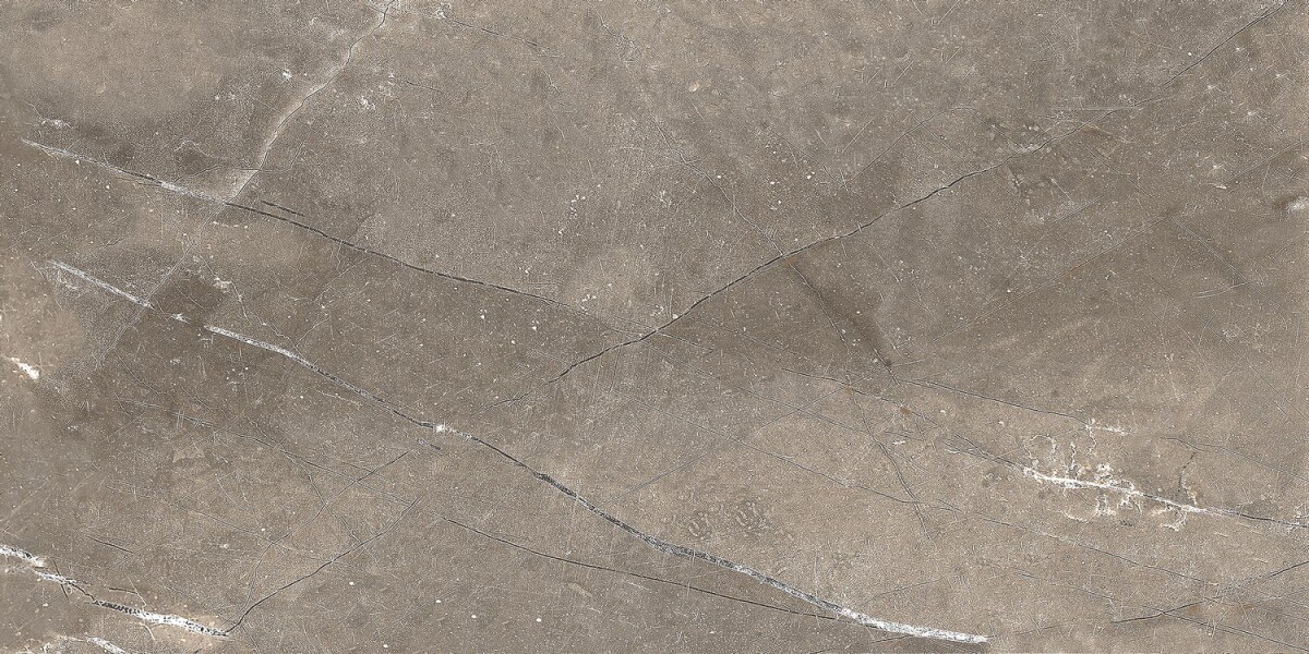 GT122VG Плитка облиц. Siluet GT Кор. 50*25 _ 1 74,25